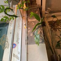 Interior - view from my seat at Wild & The Moon - Saint Honoré in Paris