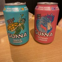 The Sodas  at Theory (ex-BurgerTheory) in Paris