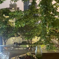   at Mang's Mania in Ho Chi Minh City
