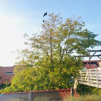 View from room with balcony  at Villa La Vida in Egmond Aan Zee