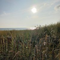 Natuur at Villa La Vida in Egmond Aan Zee