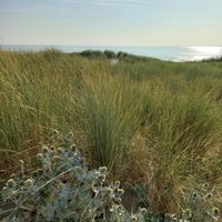 Natuur at Villa La Vida in Egmond Aan Zee