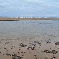  at Villa La Vida in Egmond Aan Zee