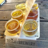 Vegan beer paddle at Bright Brewery in Bright