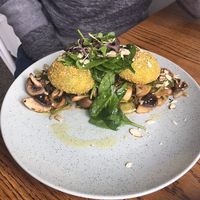 Magic mushrooms at Moment in Christchurch