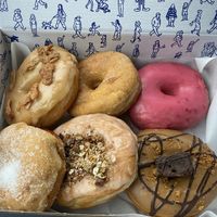   at Oh Donuts & Coffee in Belfast