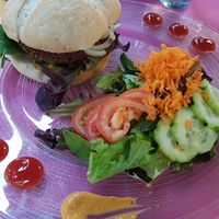 Burger with peaprotein at Restaurante Vegano Tierra Madre in Valencia