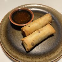 Vegan Spring rolls  at UDON in Escaldes-engordany