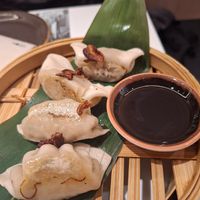 Vegan gyoza at UDON in Escaldes-engordany