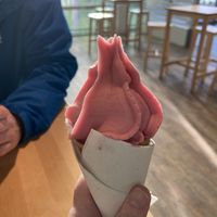 Vegan ice cream 5 kr. It’s a sorbet . at IKEA in Taastrup