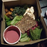 Protein Salad at Terra in 