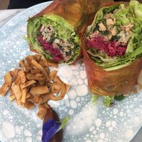 BBQ jackfruit wrap  at Terra in 