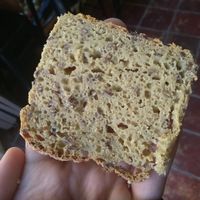 The inside of the organic vegan gluten free bread at Les Frères Chapelier - Boulangerie Artisanale Bio in Toulouse