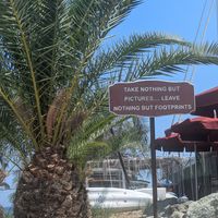  at Seashells Healthy Living in Limassol
