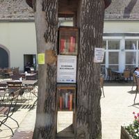 Public bookcase on the terrace at Wendelinushof Hofküche in Sankt Wendel