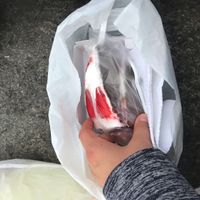 Takeaway cake at Loving Hut - Jiron Carabaya in Lima