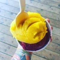 Sorbet! at Moo's Gourmet Ice Cream in Jackson