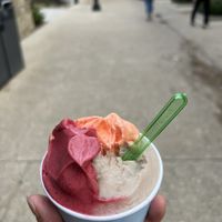 Banana, blood orange and mix berry sorbet  at Café Del Hidalgo in St Augustine