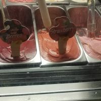 Vegan sorbets at Café Del Hidalgo in St Augustine