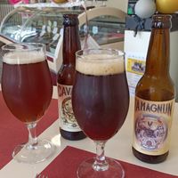 Birre artigianali at Antica Casa Rava in Alessandria