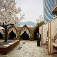 Gorgeous courtyard   at Doco - City Farm House Cafe in Busan