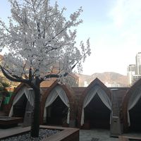 courtyard outside the cafe. would be cute during the warmer months at Doco - City Farm House Cafe in Busan