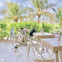 IG @fluffybenben at I Am Vegan Babe in Canggu