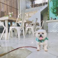 IG @fluffybenben at I Am Vegan Babe in Canggu