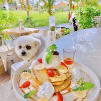 pancakes 🥰 IG @fluffybenben at I Am Vegan Babe in Canggu