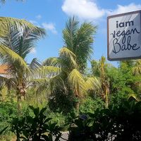  at I Am Vegan Babe in Canggu