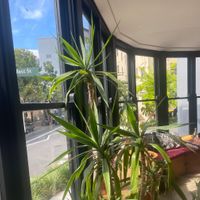   at House Bar & Bistrot  in Sydney