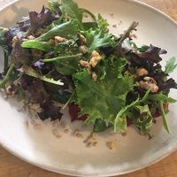 Vegan toast at Fauna & Flora in Lisbon