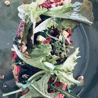   at Fauna & Flora in Lisbon