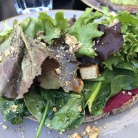 Forest Toast with just a few bits of tofu  at Fauna & Flora in Lisbon