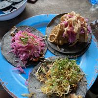 3 vegan tacos (120 pesos)  at Barba Negra in Holbox