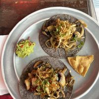   at Barba Negra in Holbox