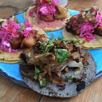 3 tacos with fried coliflower and 1 taco with garlic mushrooms  at Barba Negra in Holbox