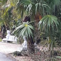  at Hippocrates Health Institute in West Palm Beach