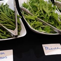 Raw Vegan Buffet at Hippocrates Health Institute in West Palm Beach