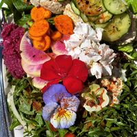 Beautiful Raw & Delicious  at Hippocrates Health Institute in West Palm Beach