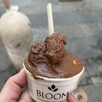   at Bloom in Modena