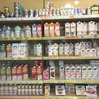 Plant Milk  at Erdi in Stuttgart