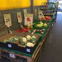 Veggies  at Erdi in Stuttgart