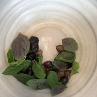 Grape dish at Opa in Tel Aviv