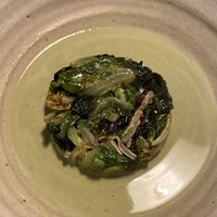 Lettuces, cilantro, caper berries, macadamia cream, Chinese cabbage. at Opa in Tel Aviv