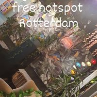 The interior at Happy Food and Health  in Rotterdam