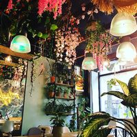 So cosy 🧡 at Happy Food and Health  in Rotterdam