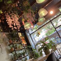 Really cute deco😍 at Happy Food and Health  in Rotterdam