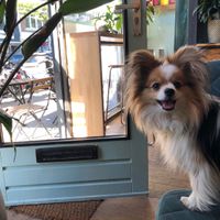 Happy customer  at Happy Food and Health  in Rotterdam