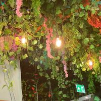 decorations at Happy Food and Health  in Rotterdam